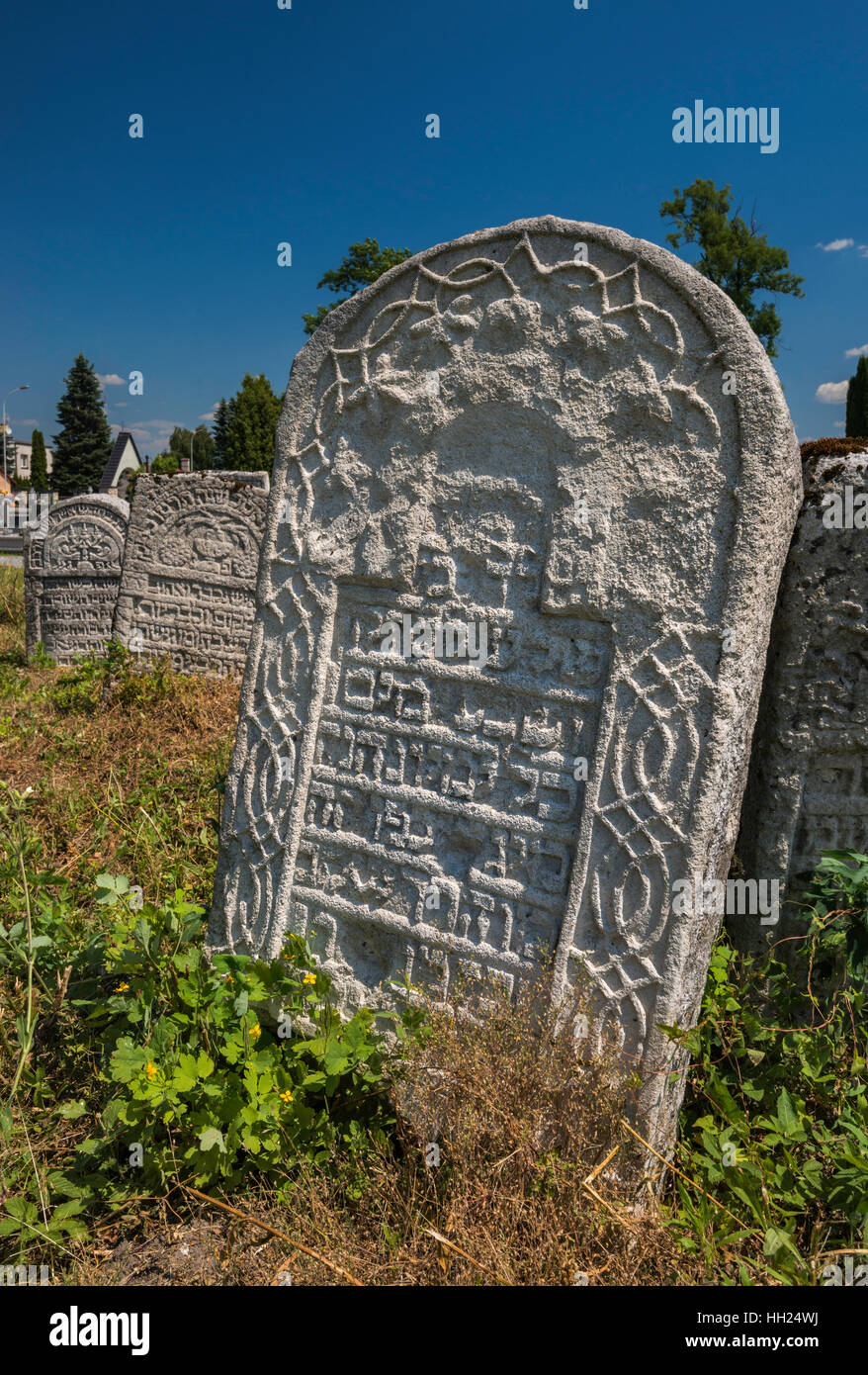 Grabsteine auf jüdischen Friedhof in Lubaczów, Kleinpolen, Polen Stockfoto