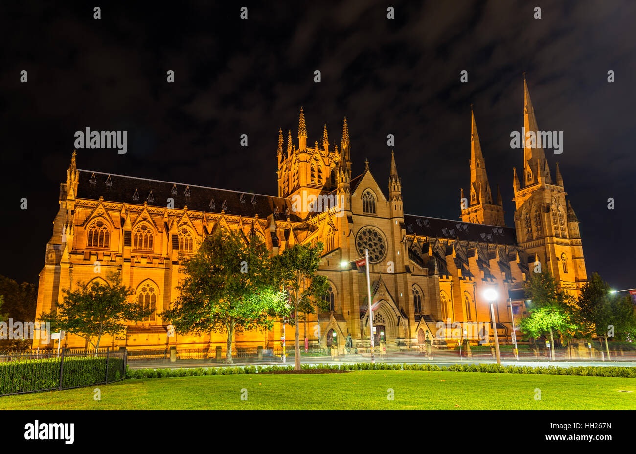 St. Mary Cathedral in Sydney bei Nacht - Australien Stockfoto