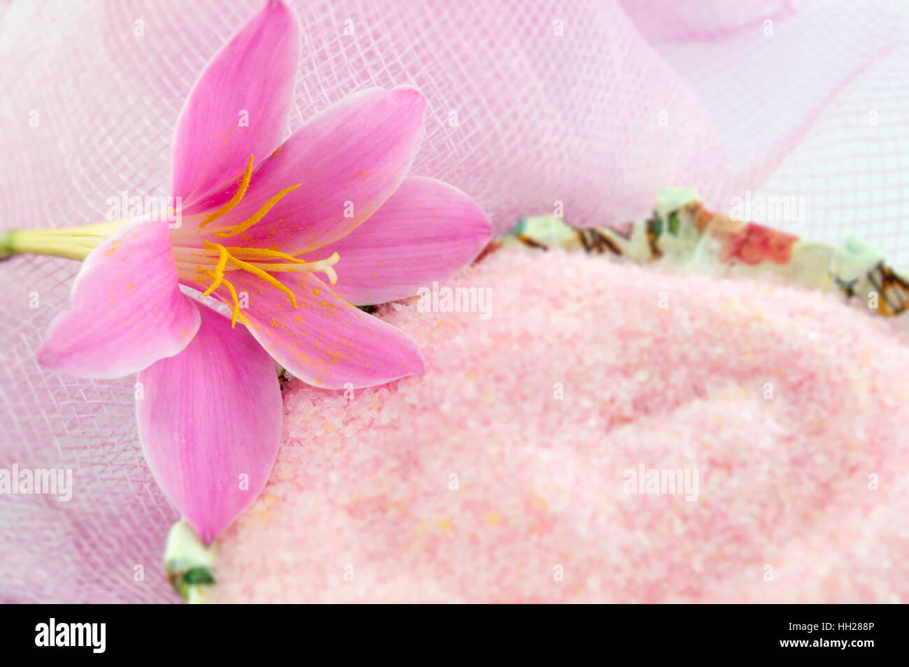 Rosa Lilie Blume mit rosa Badesalz in einer Schüssel Serviettentechnik dekoriert auf rosa strukturierten Hintergrund Stockfoto