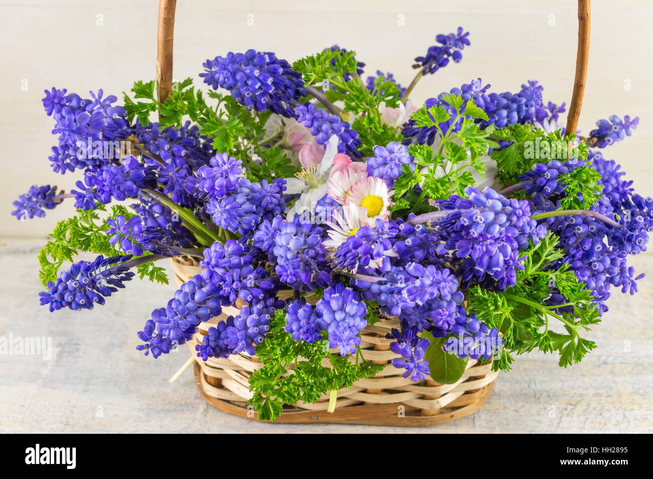 Bluebell Blumen Blumenstrauß in einem Weidenkorb Stockfoto