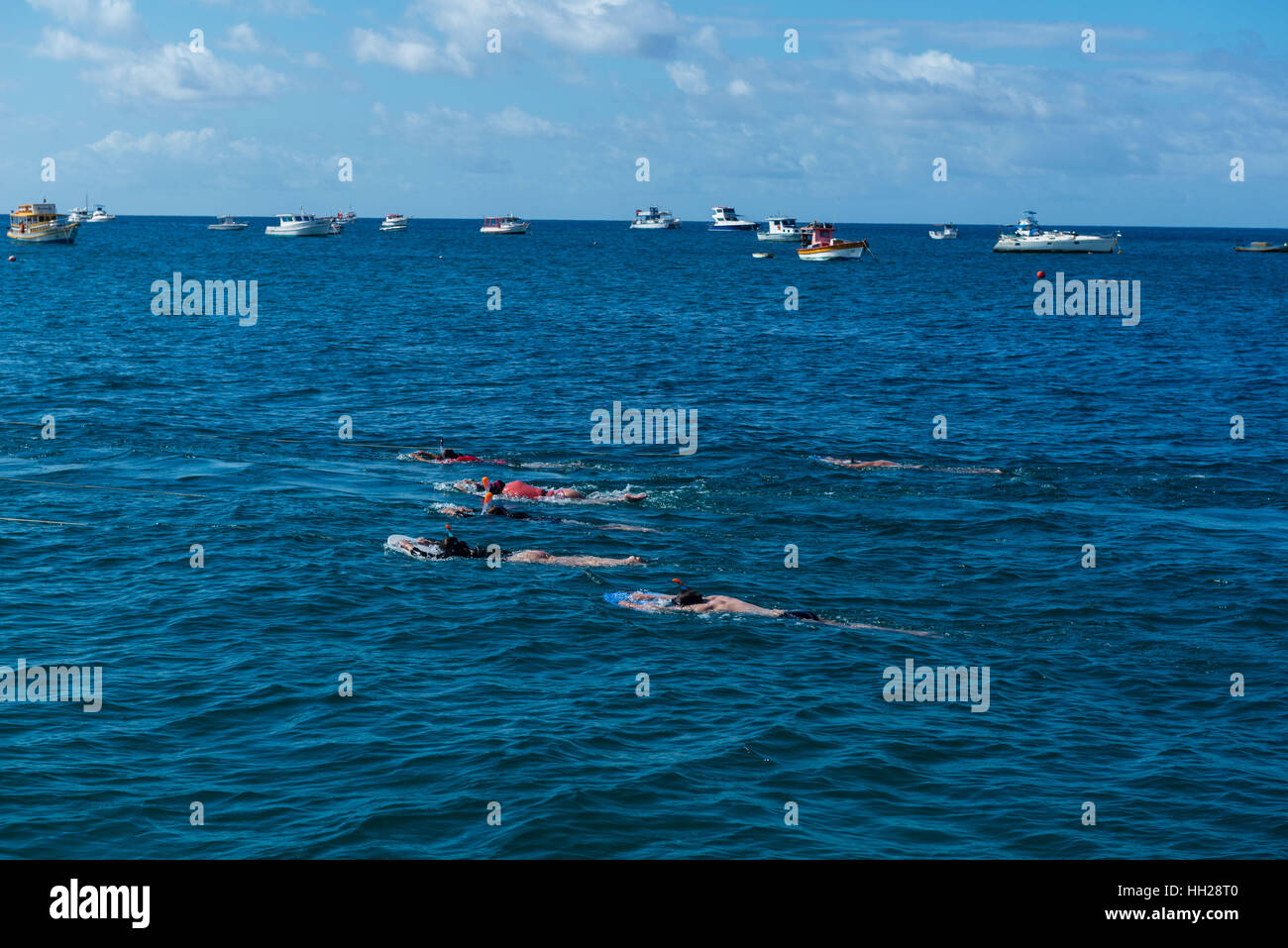 Touristen Schnorcheln vor der brasilianischen atlantischen Insel Fernando De Noronha, jeweils gezogen von einem Boot, Pernambuco, Brasilien Stockfoto
