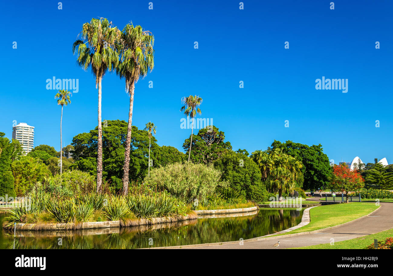 Königliche Botanische Garten von Sydney - Australien, New South Wales Stockfoto