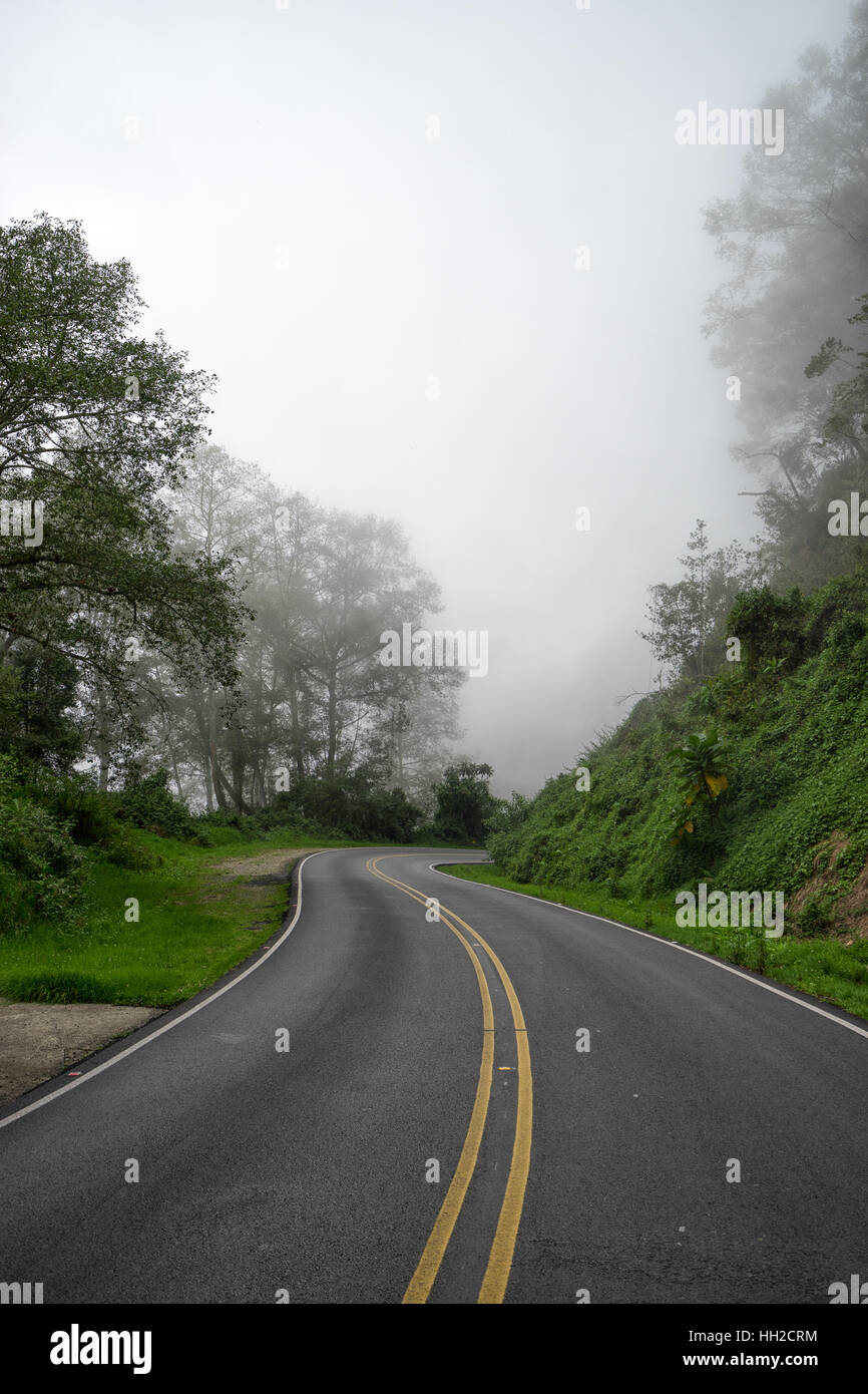 Kurve der Straße führt in Nebel in Costa Rica Stockfoto