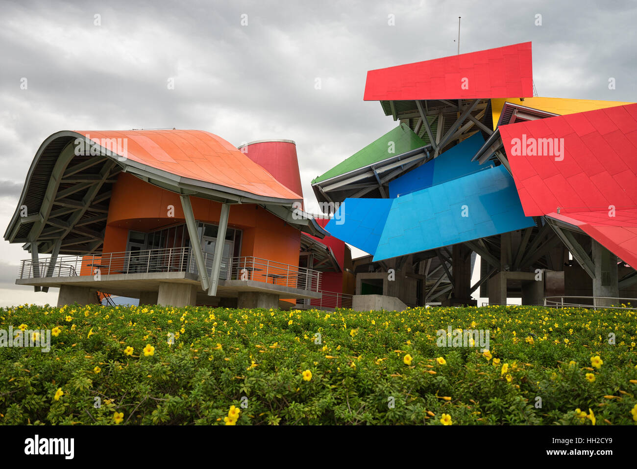 13. Juni 2016 Panama-Stadt: die bunten Gebäude des Biomuseum mit blühenden Blumen im Vordergrund Stockfoto