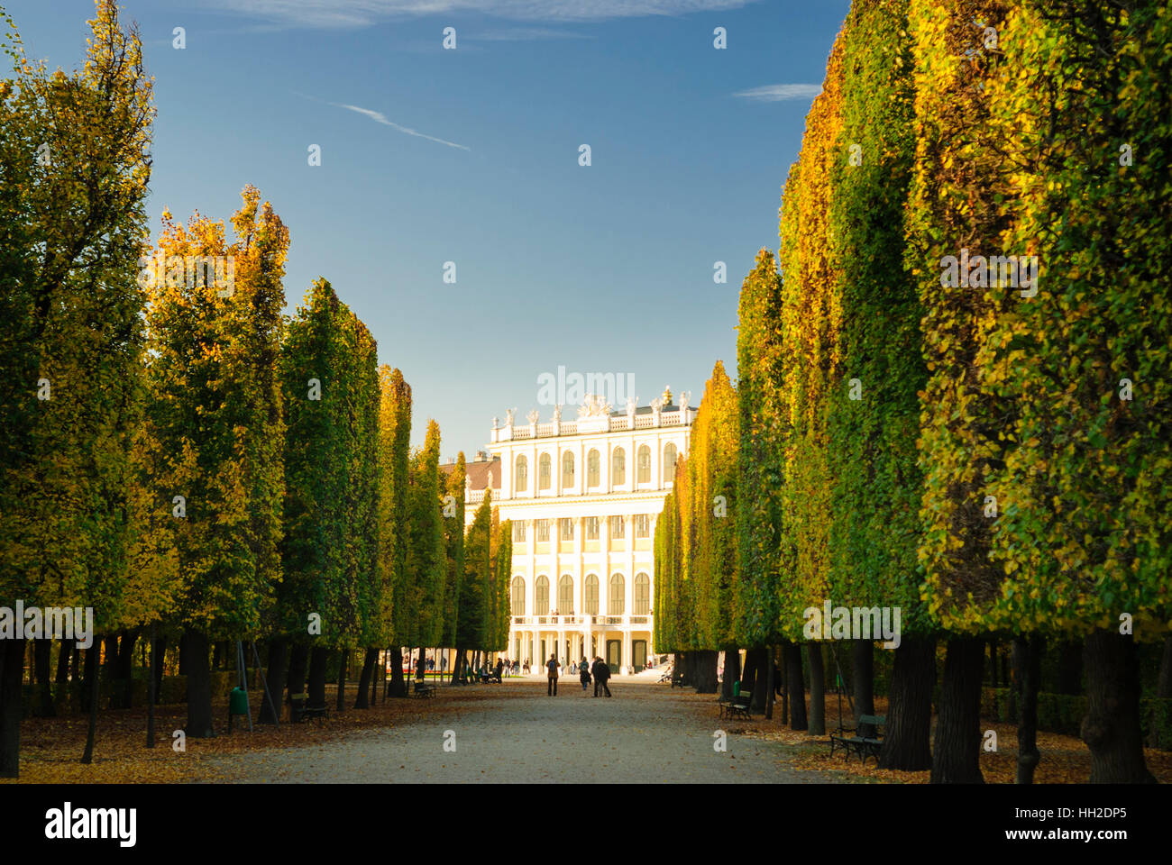 Wien, Wien: Schlosspark Schönbrunn, Blick zum Schloss, 13., Wien, Österreich Stockfoto