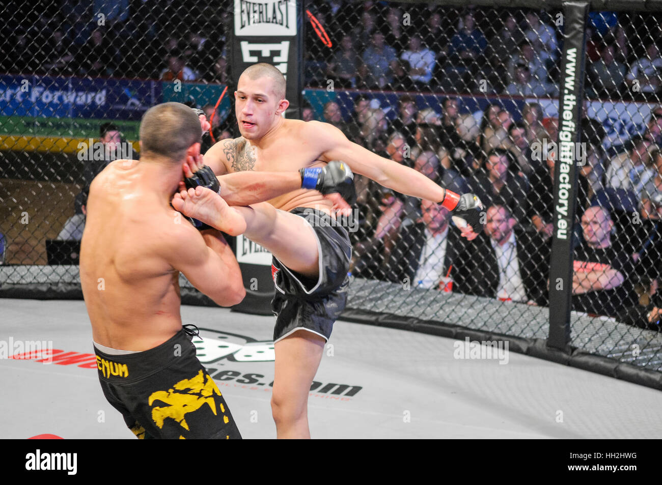 MMA Käfig-Kämpfer tritt seinen Gegner in den Kopf Stockfoto