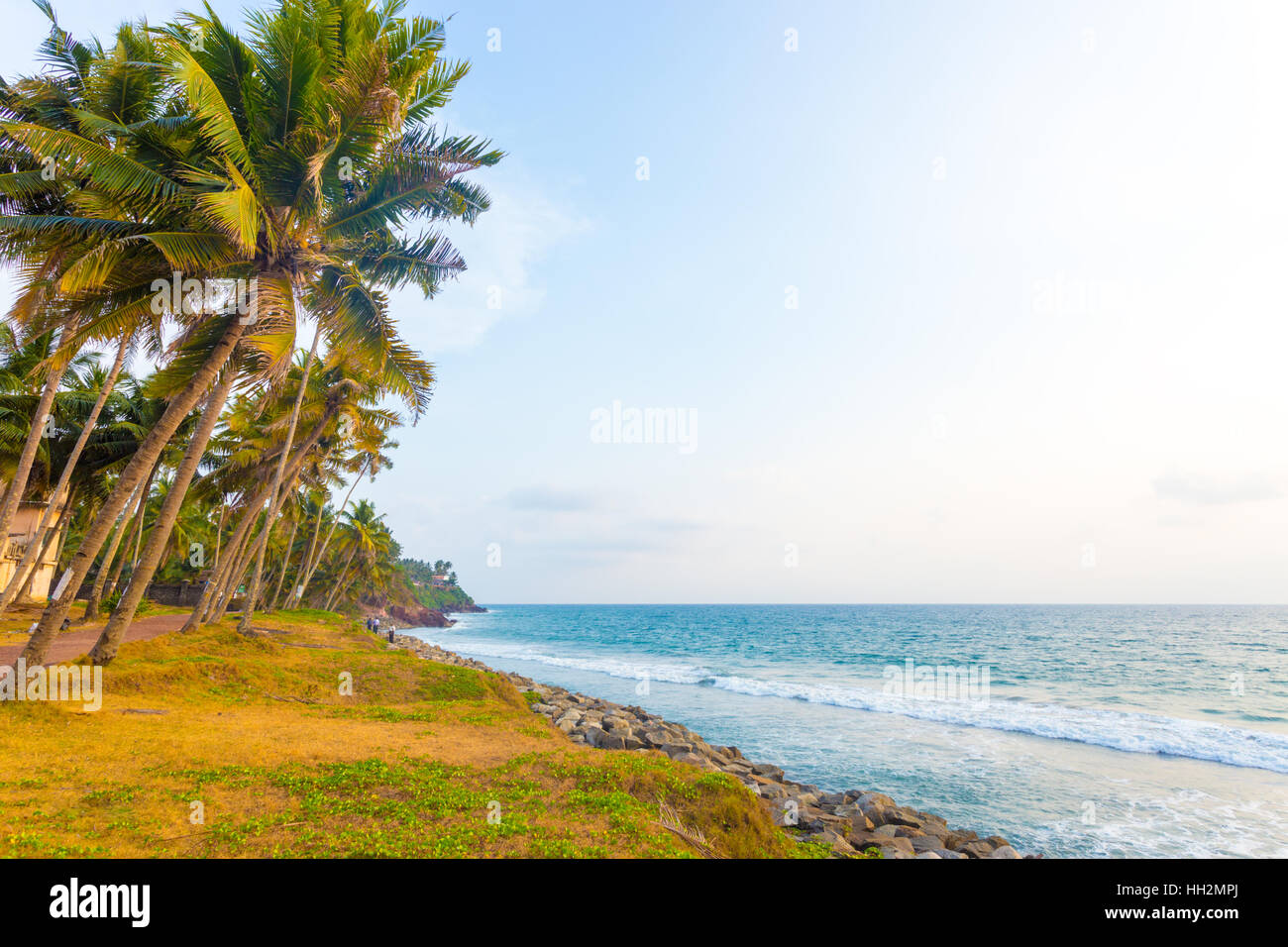 Palmen säumen einen grasbewachsenen Küste Bereich entlang des Ozeans bei einem angenehmen Spätnachmittag in Varkala, Kerala, Indien. Horizontale Stockfoto