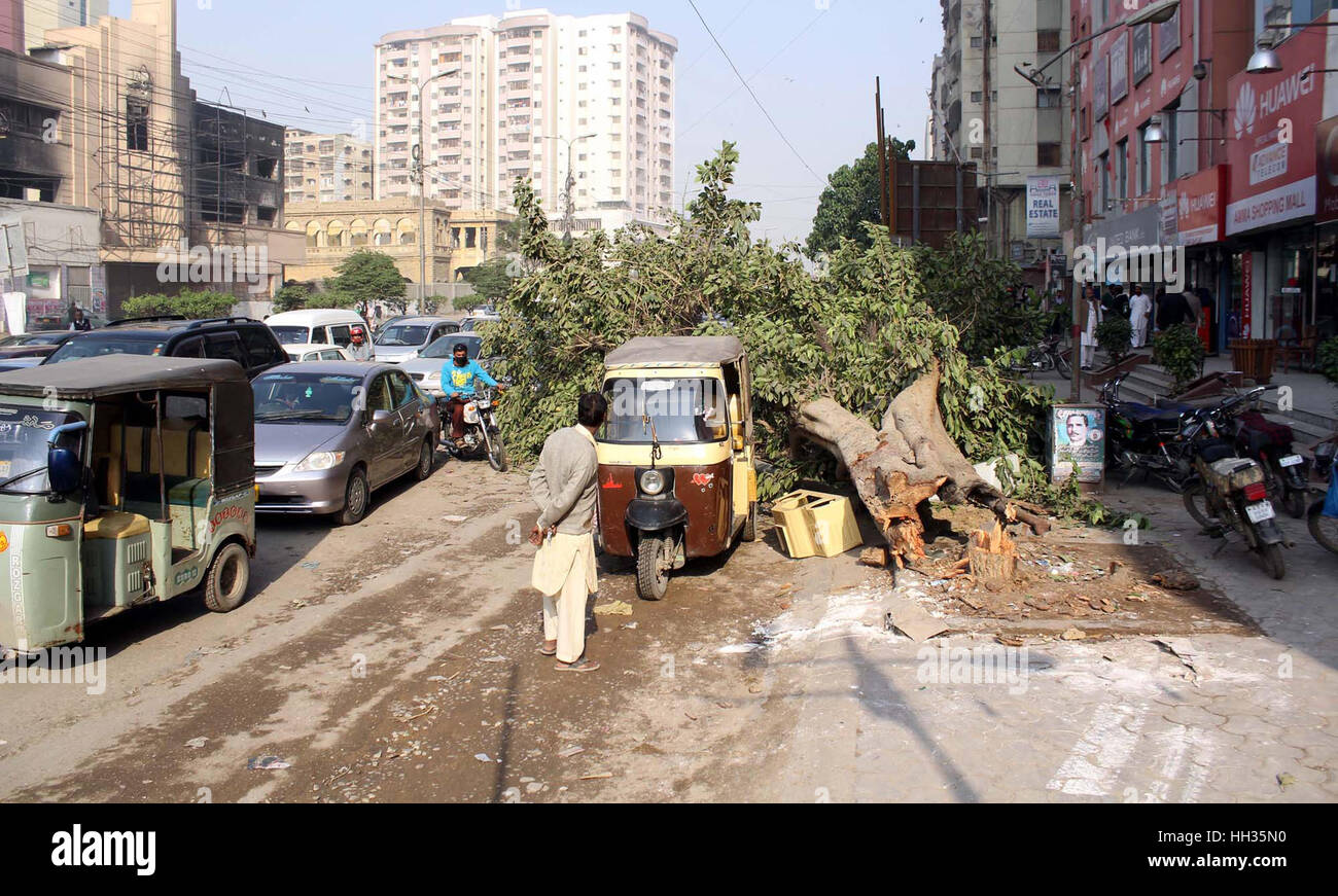 Karachi, Pakistan. Schwächen Sie Dampf Baum fallen am Boden während der schweren Wolkenbruch, Abdullah Haroon Road in Karachi auf Montag, 16. Januar 2017. Bildnachweis: Asianet-Pakistan/Alamy Live-Nachrichten Stockfoto