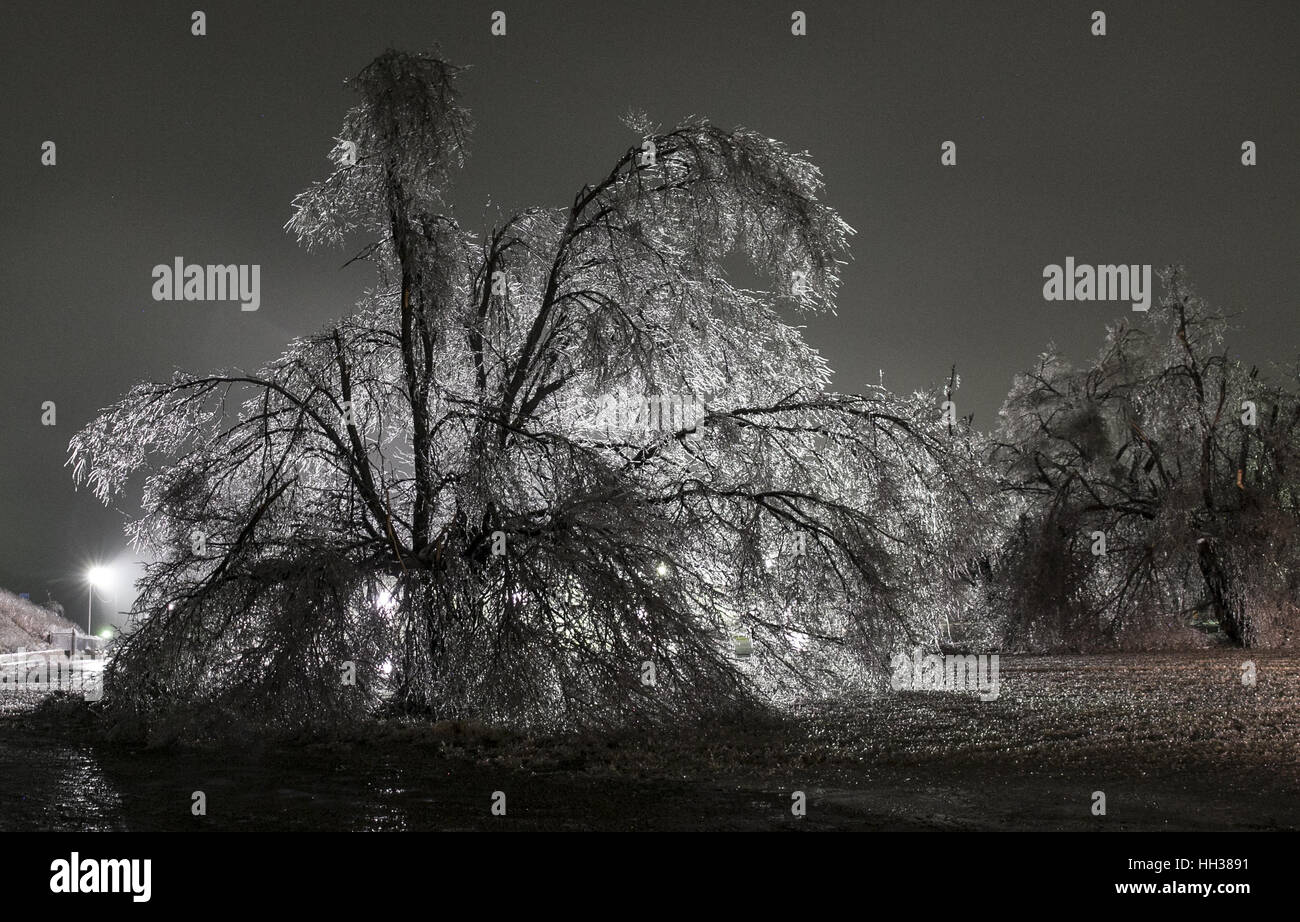 Kinsley, USA. 15. Januar 2017. Stark beschädigte, Eis, die beschichteten Pappel Baum spektakulär beleuchtete von Industriebeleuchtung neben Highway 56 in Kinsley ist. Eine bedeutende Eissturm zerstört Tausende von Bäumen und bewusstlos macht, mehr als 7.000 Kunden in der gesamten südwestlichen Kansas als einer Hälfte bis drei Viertel eines Zoll Eis angesammelt, die größte Eis-Sturm in der Region seit Dezember 2006. Bildnachweis: Mark 'Sturm' Farnik/ZUMA Draht/Alamy Live-Nachrichten Stockfoto