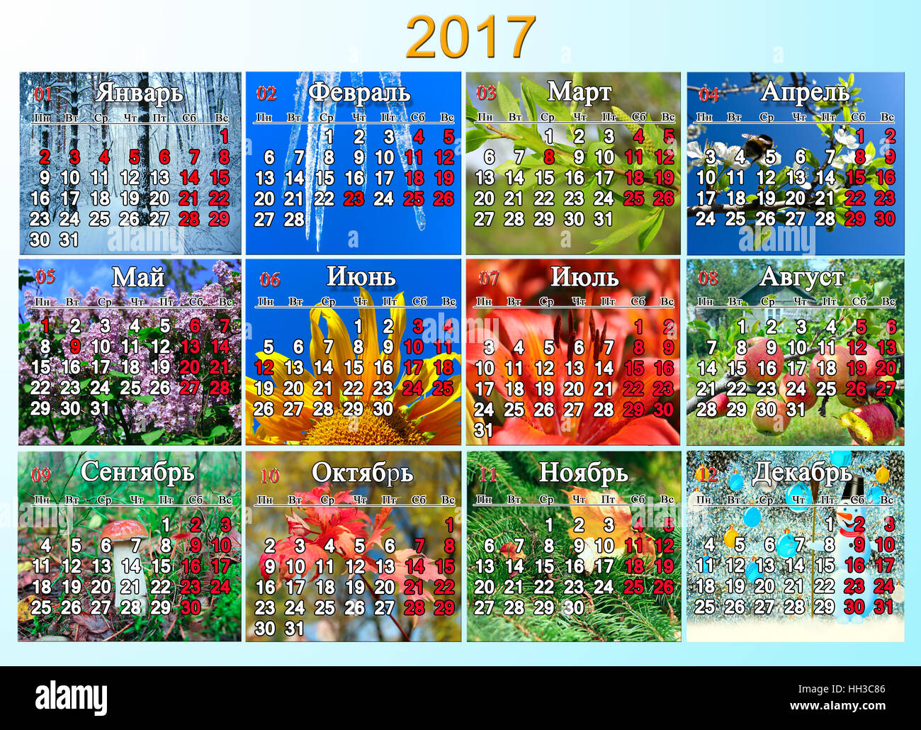 Kalender für das Jahr 2017 in russischer Sprache mit Foto der Natur für jeden Monat Stockfoto