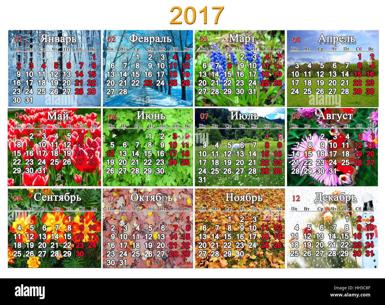 Kalender für das Jahr 2017 in russischer Sprache mit Foto der Natur für jeden Monat Stockfoto