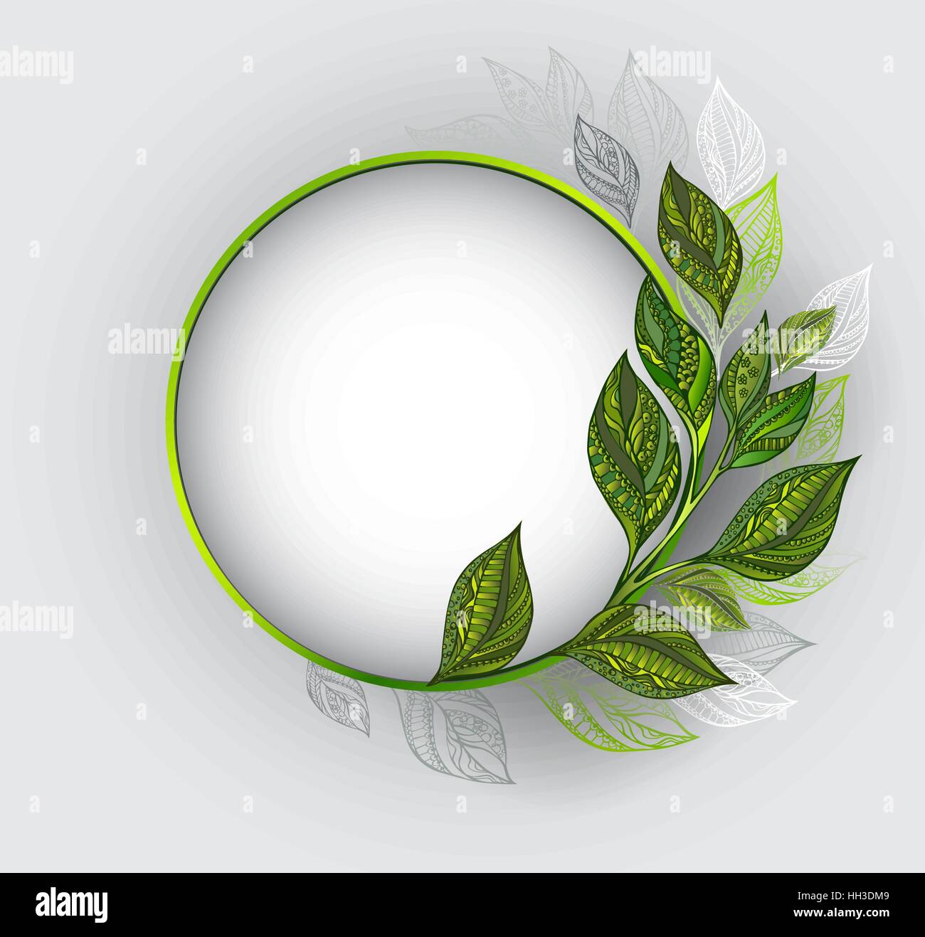 Runde Banner mit einem grünen Rahmen, dekoriert mit gemusterten, grün und grau Blätter Tee auf einem grauen Hintergrund. Tee-Design. Stock Vektor