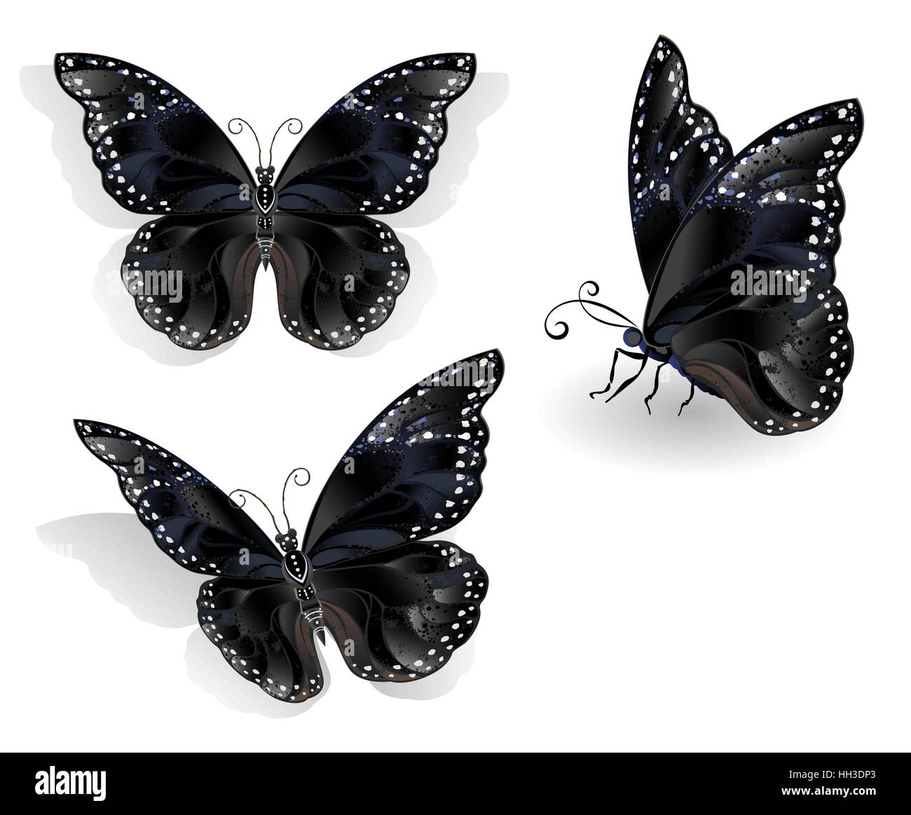 Satz von realistischen, isoliert, schwarze Schmetterlinge Morpho auf weißem Hintergrund. Design mit Schmetterlingen. Stock Vektor