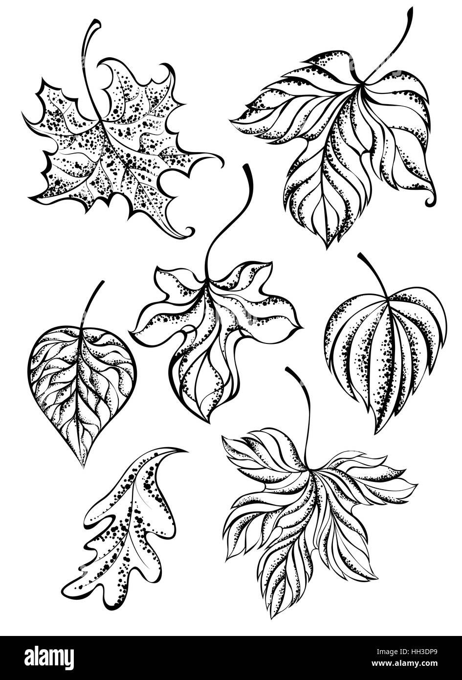 Satz von gemalte Kunst, Kontur, Herbstlaub auf weißem Hintergrund. Tattoo-Stil. Hand gezeichnet. Skizze, Zeichnung Stock Vektor