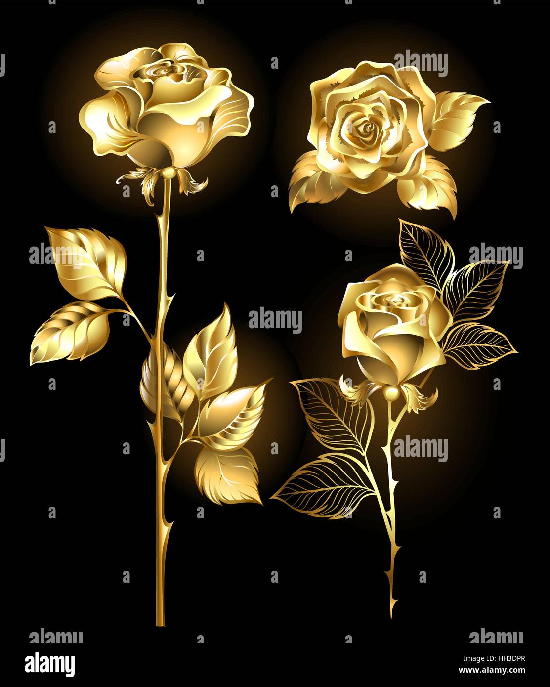 Satz von Gold, glänzend Rosen auf schwarzem Hintergrund Stock Vektor