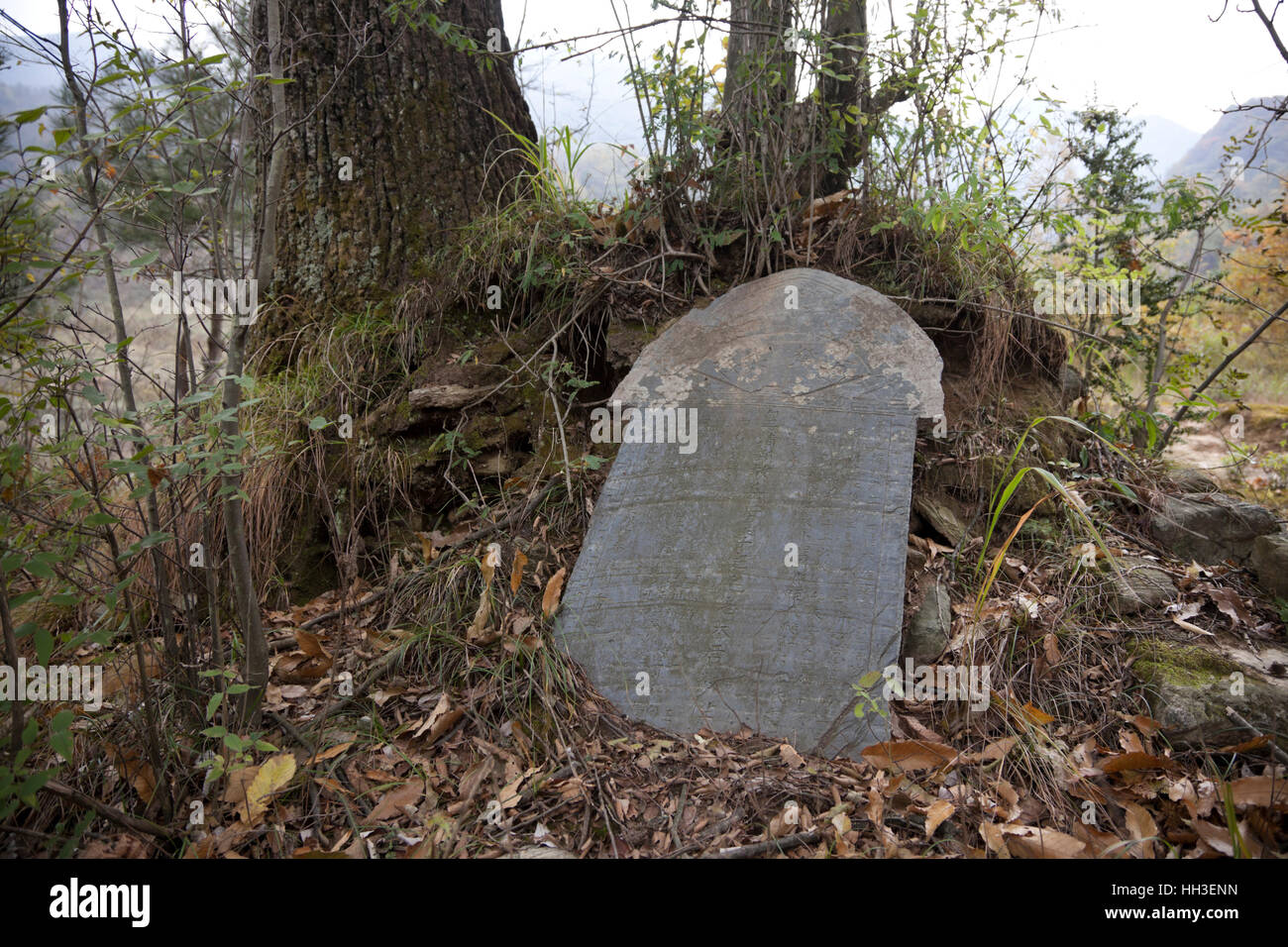 Bäume sind aus dem Hügel gewachsen, in denen eine tote Person beigesetzt und durch einen Grabstein in einem abgelegenen Dorf in West-China gedacht war. Stockfoto