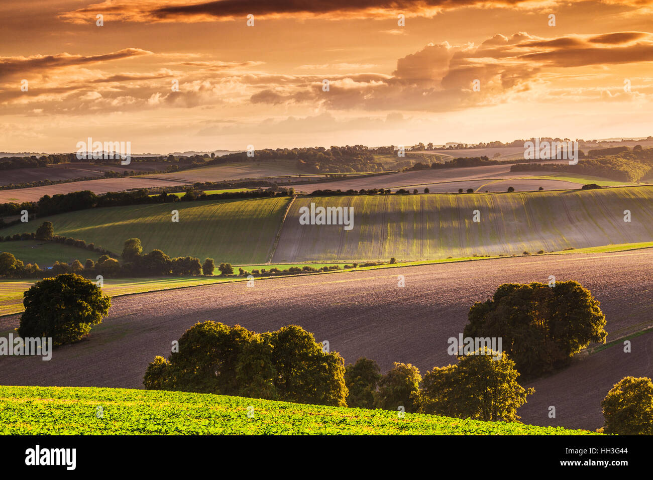 Sonnenuntergang über der Nord Wessex Downs in Wiltshire. Stockfoto