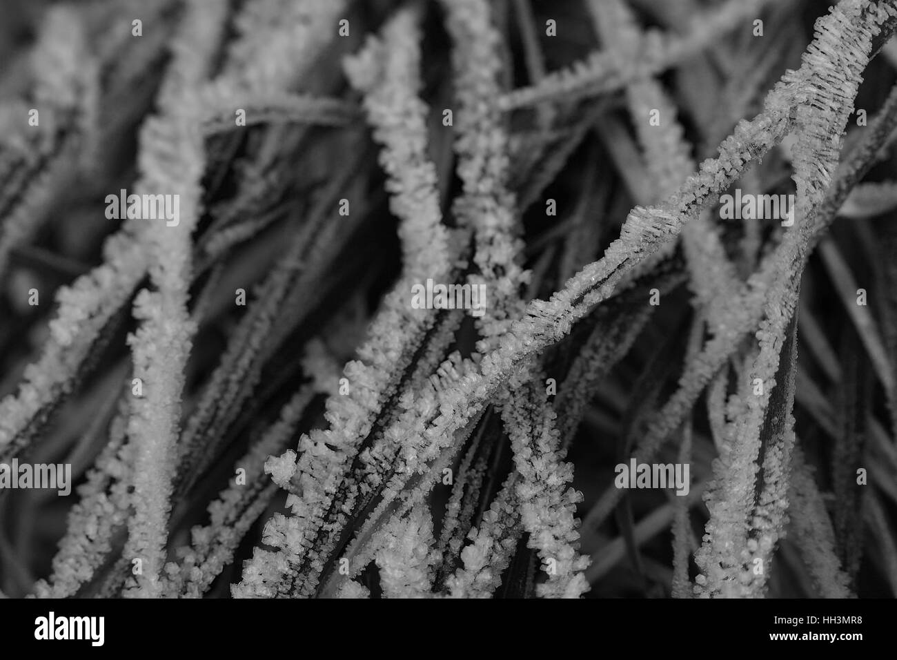 Gas Mit Eis bedeckt Stockfoto