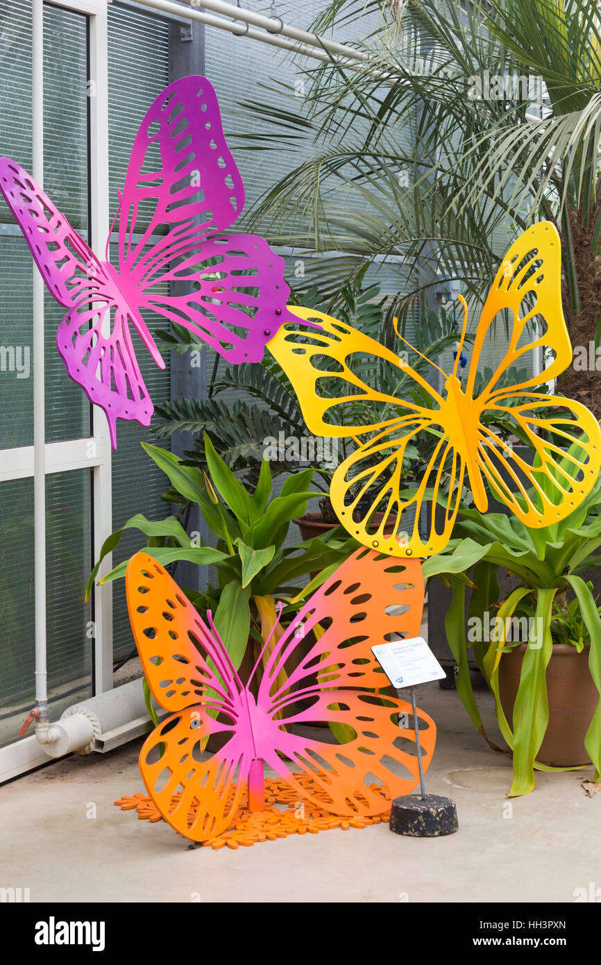 Butterfly Trio emaillierter Stahl Bunte Schmetterlinge im Glasshouse, RHS Garden Wisley, Woking, Surrey, England im Januar Stockfoto