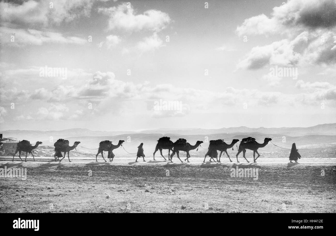 Kamel Transport, Olivet, ca. 1918 Stockfoto