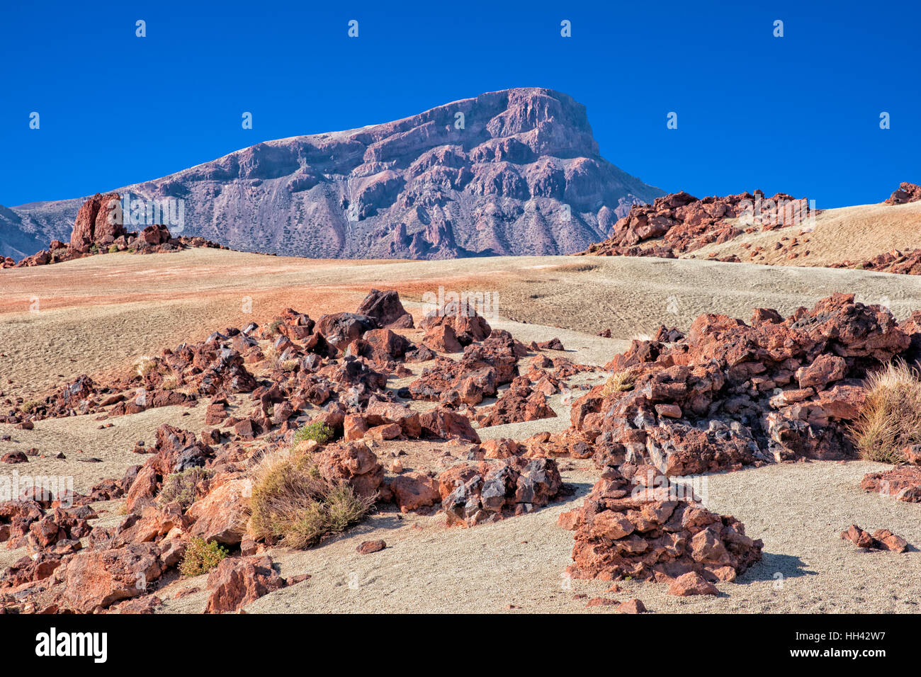 Nationalpark Teide, Teneriffa Stockfoto
