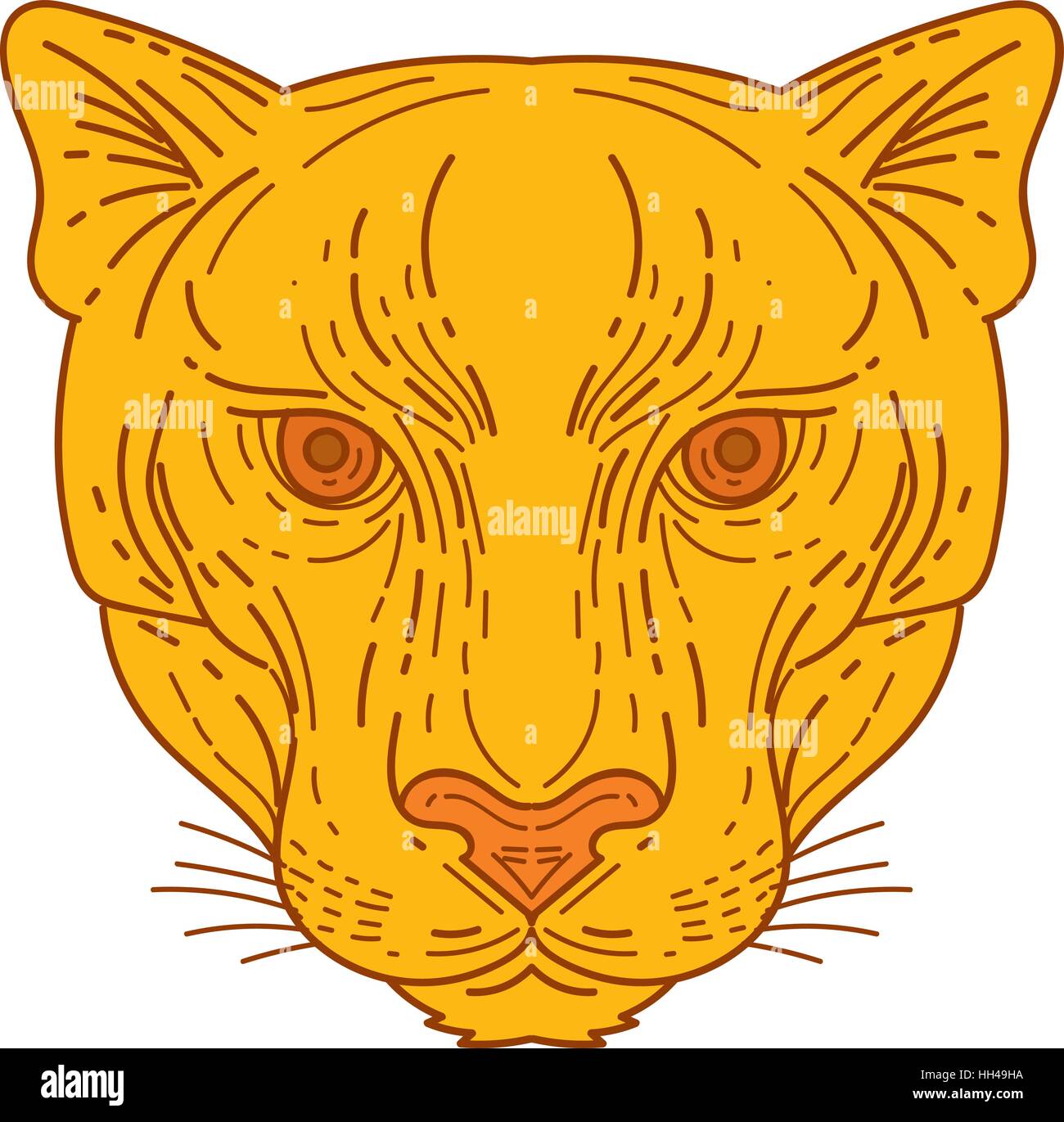 Mono-Linie Stil Illustration einer Cougar Mountain Löwenkopf am isolierten weißen Hintergrund von vorne betrachtet. Stock Vektor