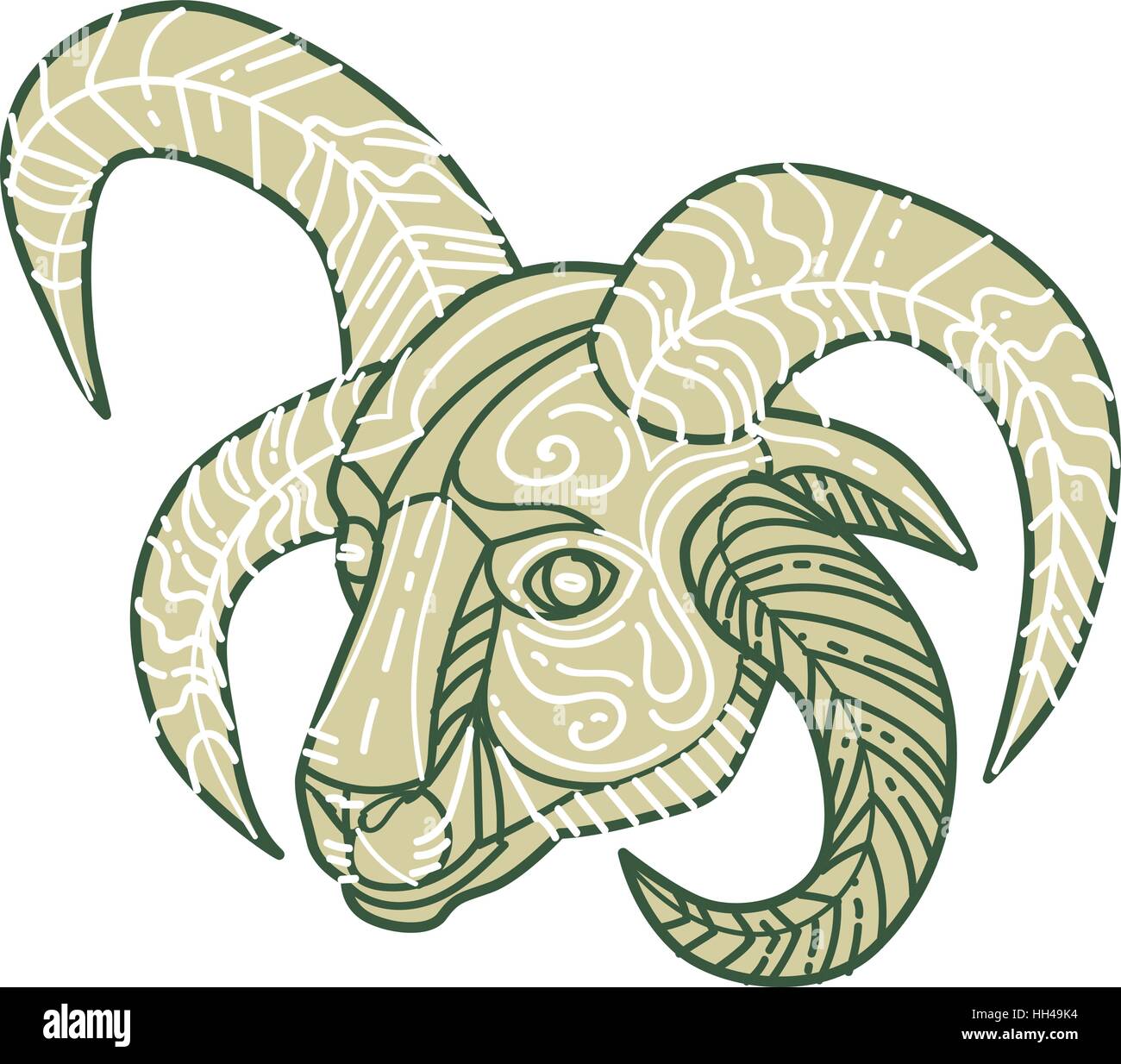 Mono-Linie Stil Illustration des Manx Loaghtan, eine Rasse von Schafen (Ovis Aries) native auf der Isle Of Man Kopf mit vier Hörnern auf isolierte weiß zurückgesetzt Stock Vektor