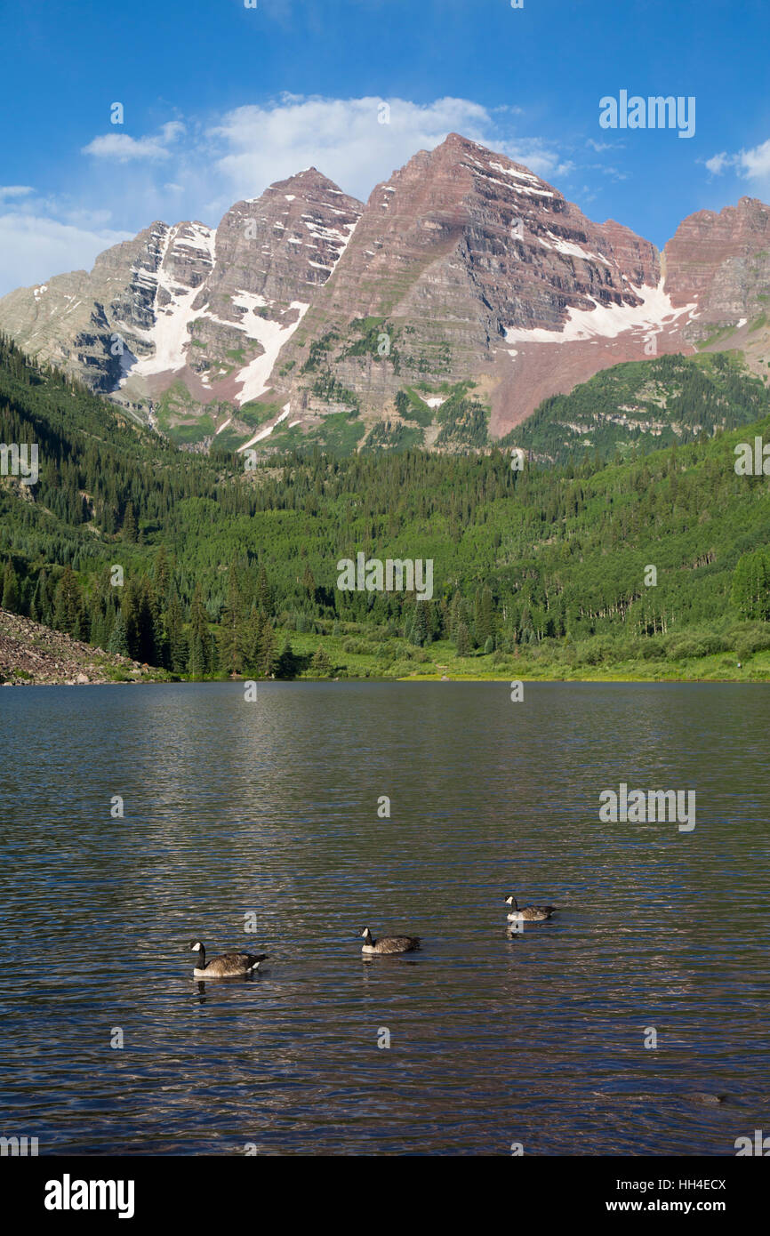 Maroon Lake (Vordergrund), Maroon Bells Peaks (Hintergrund), Maroon Bells Scenic Area, Colorado, USA Stockfoto