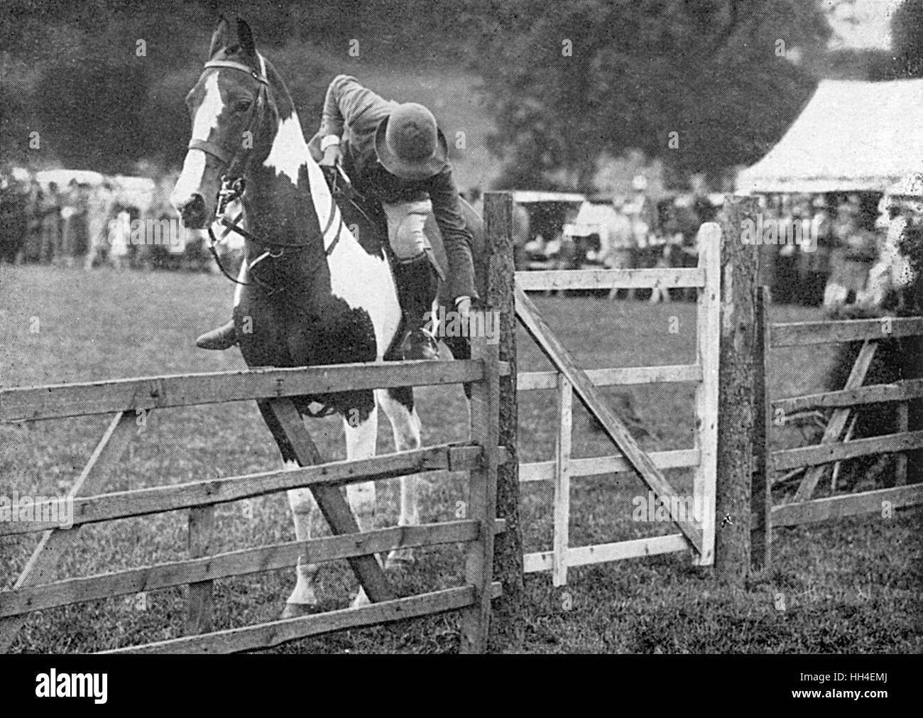 Cecil Aldins Kinderpferd, Dunster Castle Stockfoto