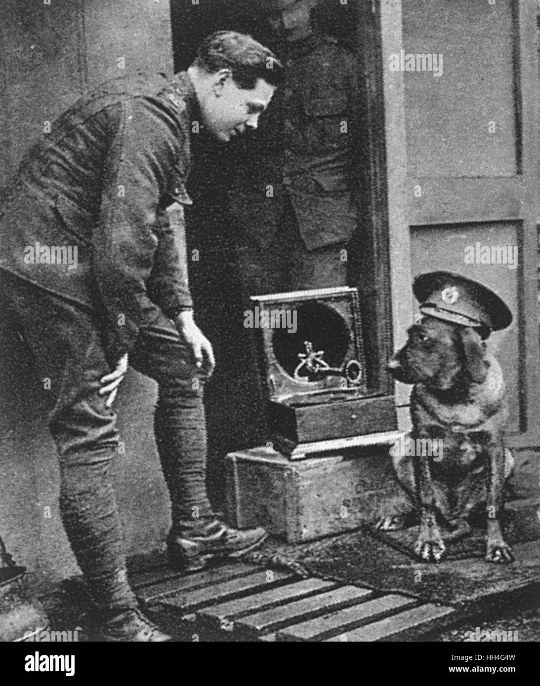 WW1 Maskottchen: Ein Kriegshund mit Mütze Stockfoto