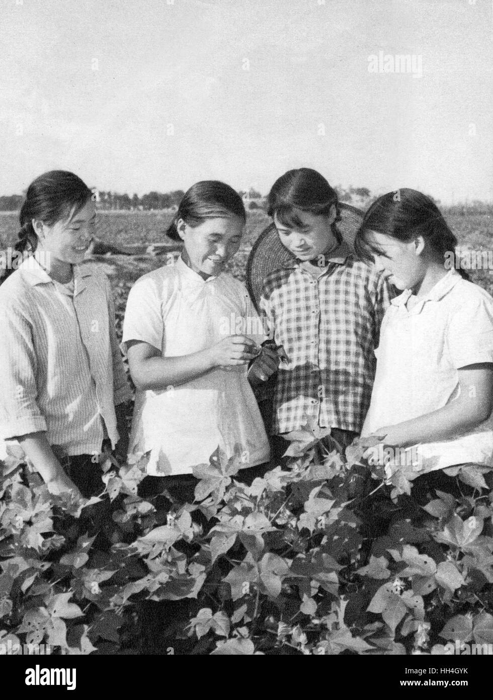 Kommunistisches China - landwirtschaftliche Ausbildung Stockfoto