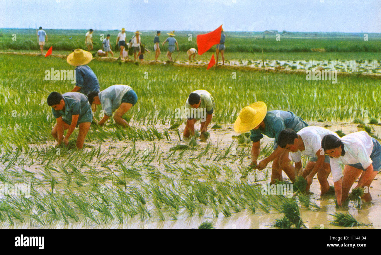 Kommunistisches China - Landarbeiter Stockfoto
