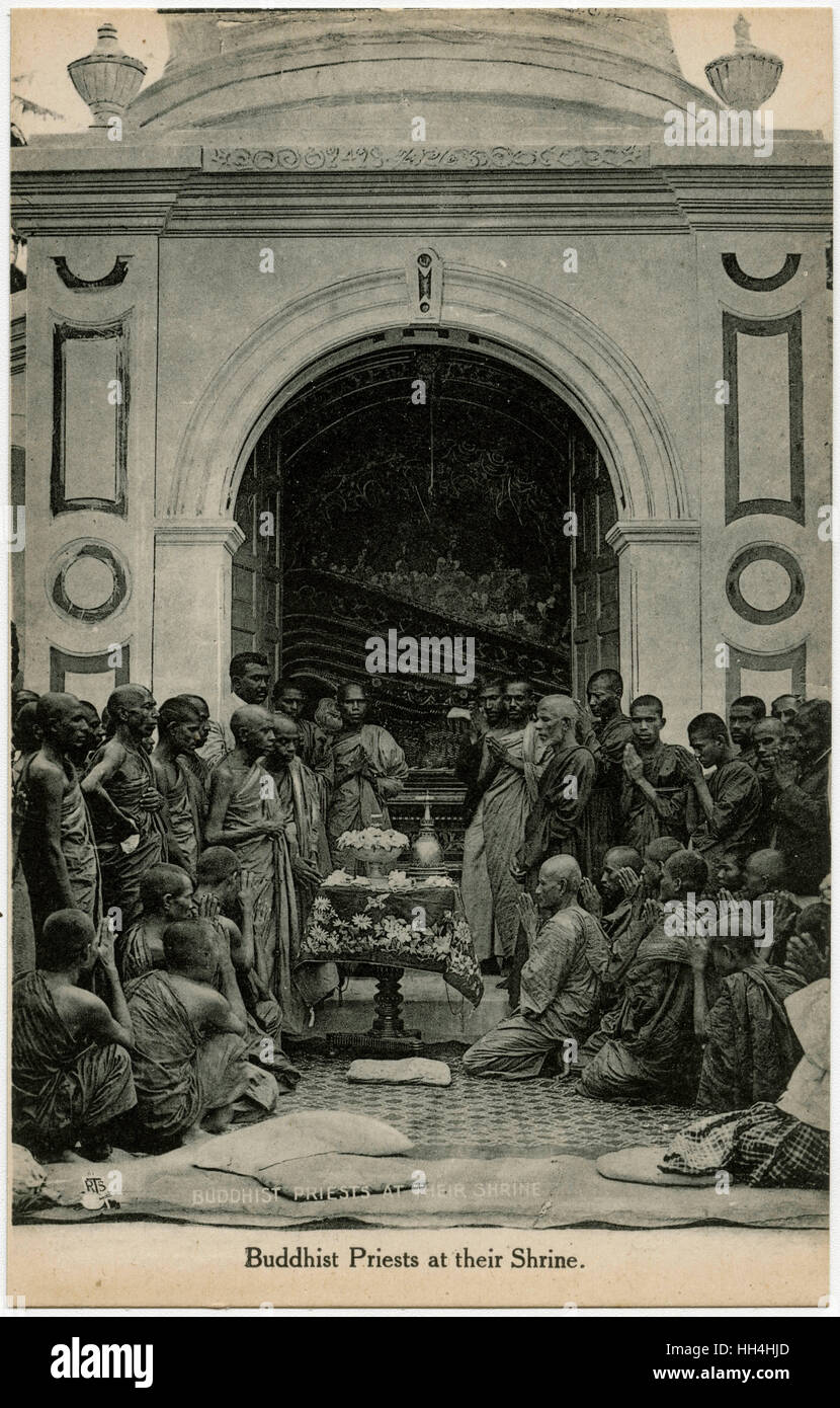 Buddhistische Priester in einem Schrein - Colombo, Sri Lanka Stockfoto