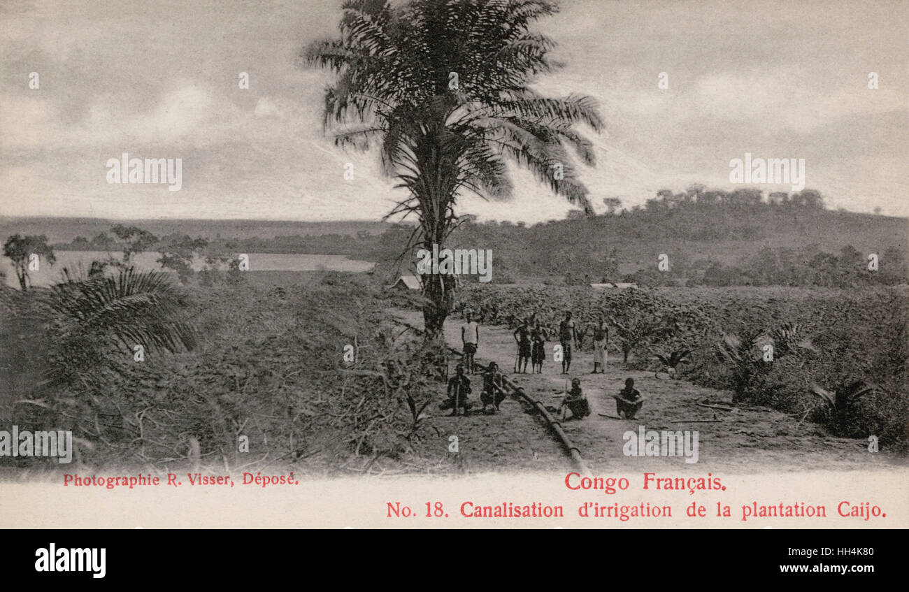 Plantage am Caijo-See, französischer Kongo Stockfoto