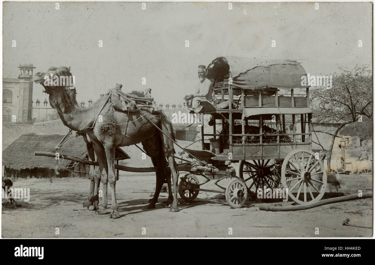 Agra, Indien - ein fabelhafter Doppeldecker-Kamelwagen Stockfoto