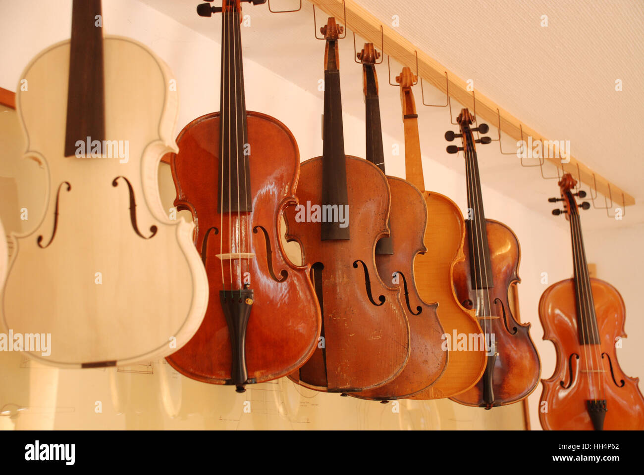 Geigen in Geigenbauer-Werkstatt Stockfoto