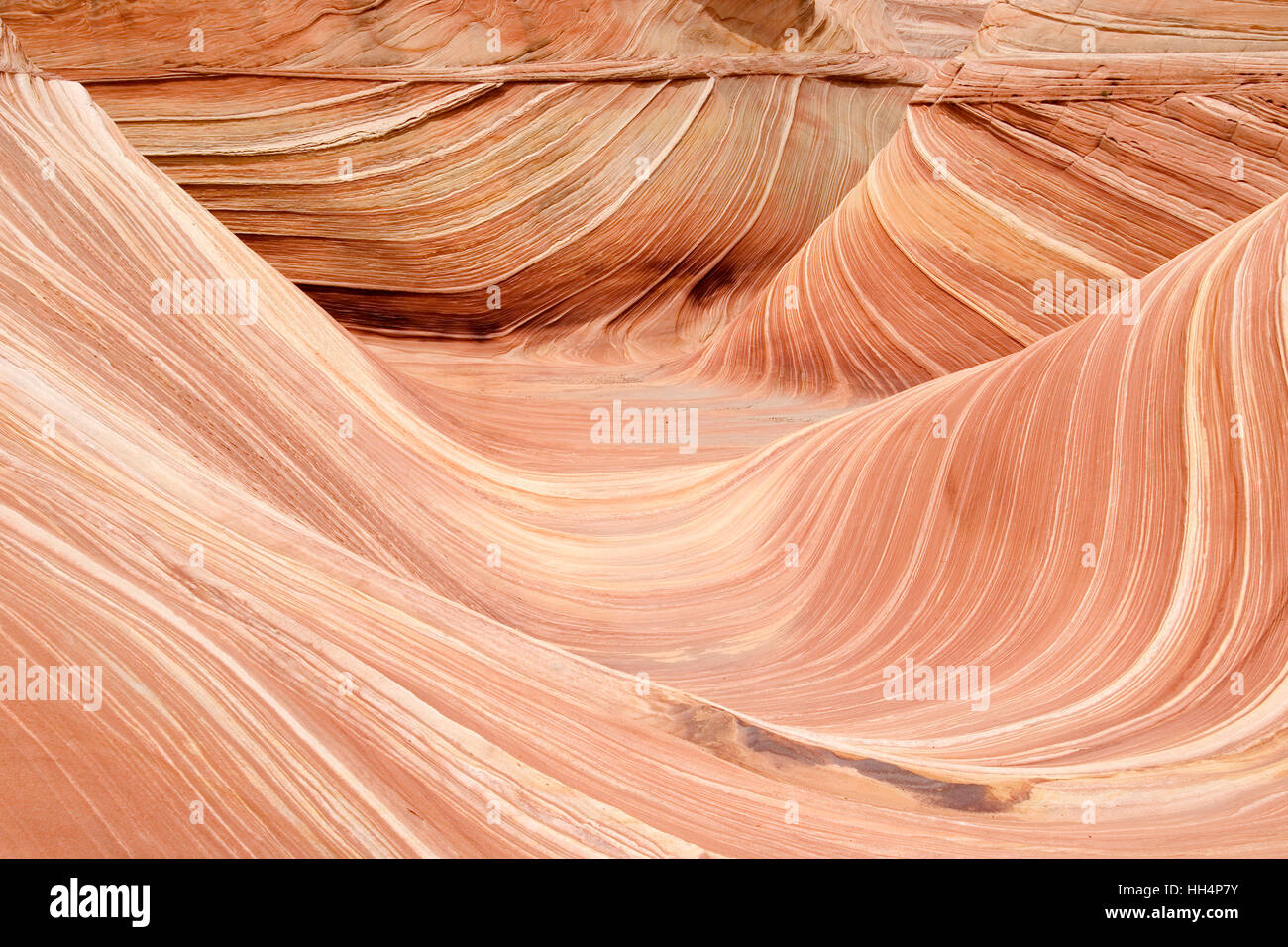 Die Welle. North Coyote Buttes. Vermilion Cliffs. Paria Canyon. Arizona. USA. Stockfoto