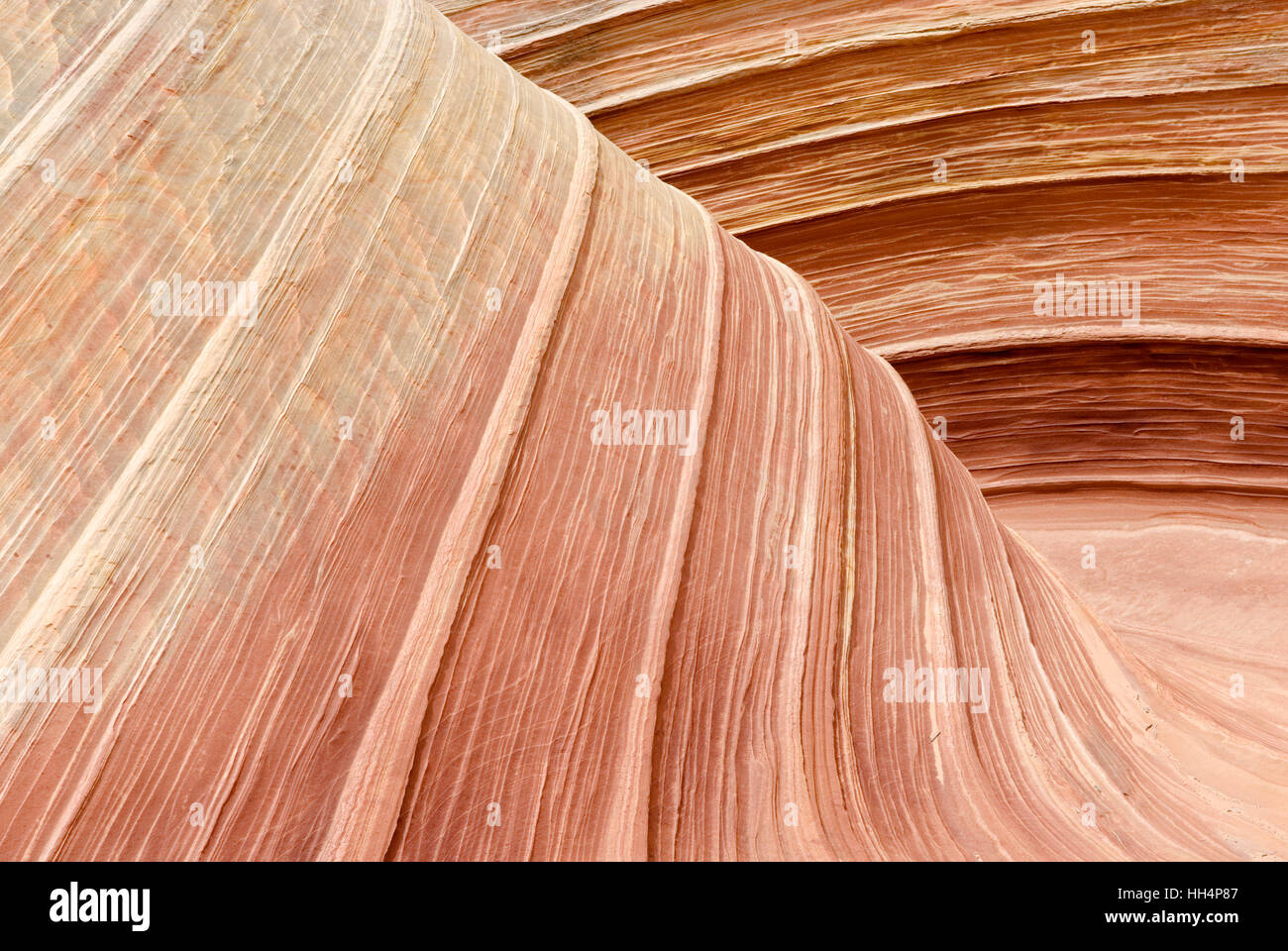 Die Welle. North Coyote Buttes. Vermilion Cliffs. Paria Canyon. Arizona. USA. Stockfoto