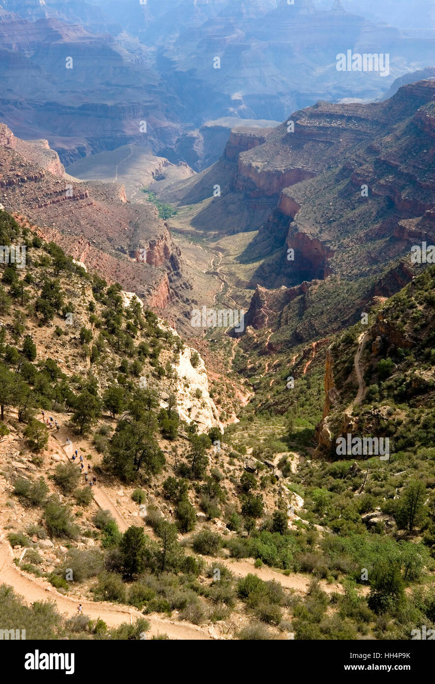 Bright Angel Trail, South Rim, Grand Canyon National Park, Arizona, USA, Nordamerika Stockfoto