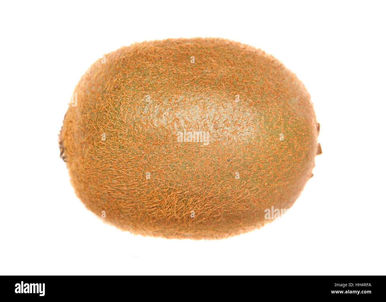 einzelne Kiwi Frucht Studio Ausschnitt Stockfoto