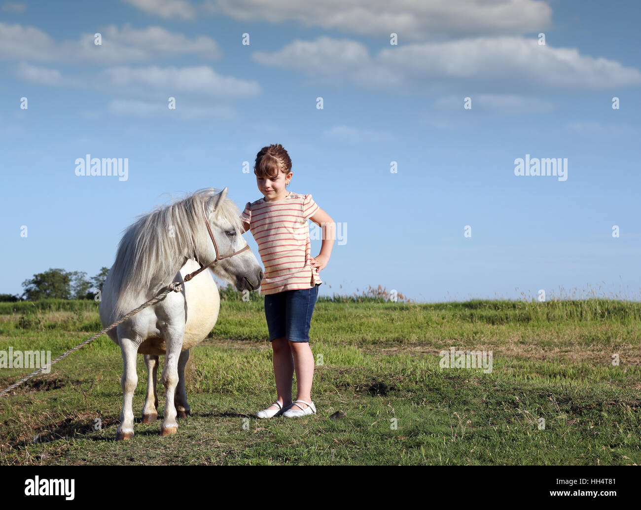 Pony Pferd und Kind auf der Weide Stockfoto