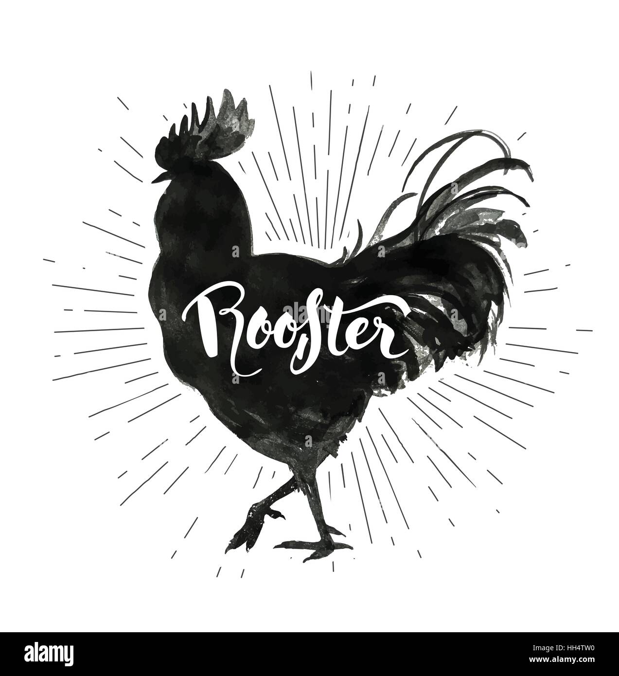 Kreative Hand Schriftzug Innerhalb Silhouette Hahn Gemalt Mit Schwarzer Tinte Bauernhof Geflugel Vogel Umriss Und Wort Hahn Vektor Illustration Fur Lebensmittel Fleisch Shops Verpackung Werbung Stock Vektorgrafik Alamy