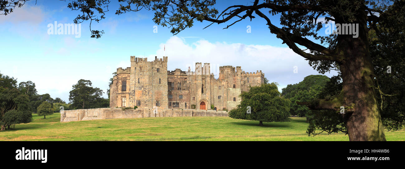 Raby Castle, Staindrop, Darlington, County Durham, England, Großbritannien, UK Stockfoto