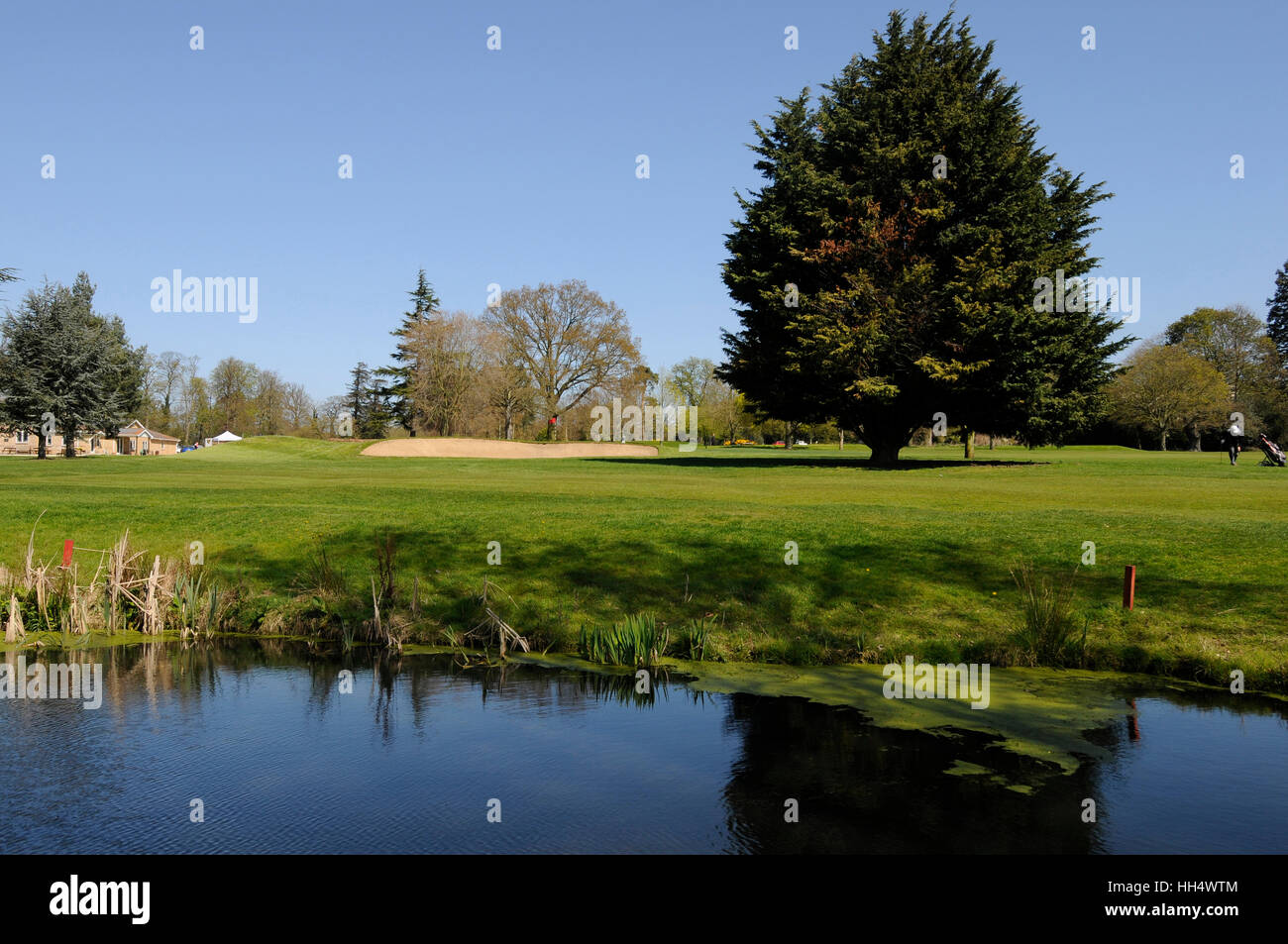 Blick über den Teich zum 18. Grün zum Clubhaus in Braintree Golf Club Essex England Stockfoto