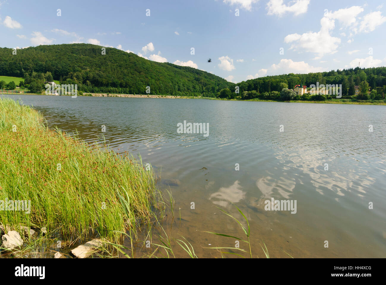 Pressbaum Wienerwald Stausee, Wienerwald, Wienerwald, Niederösterreich