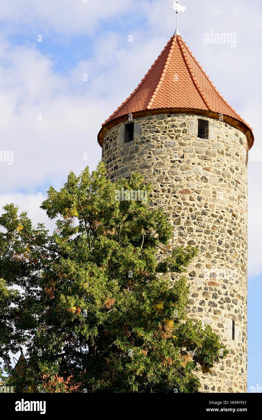 Turm der Burg Waldeck mit einem Baum in der Sonne Stockfoto