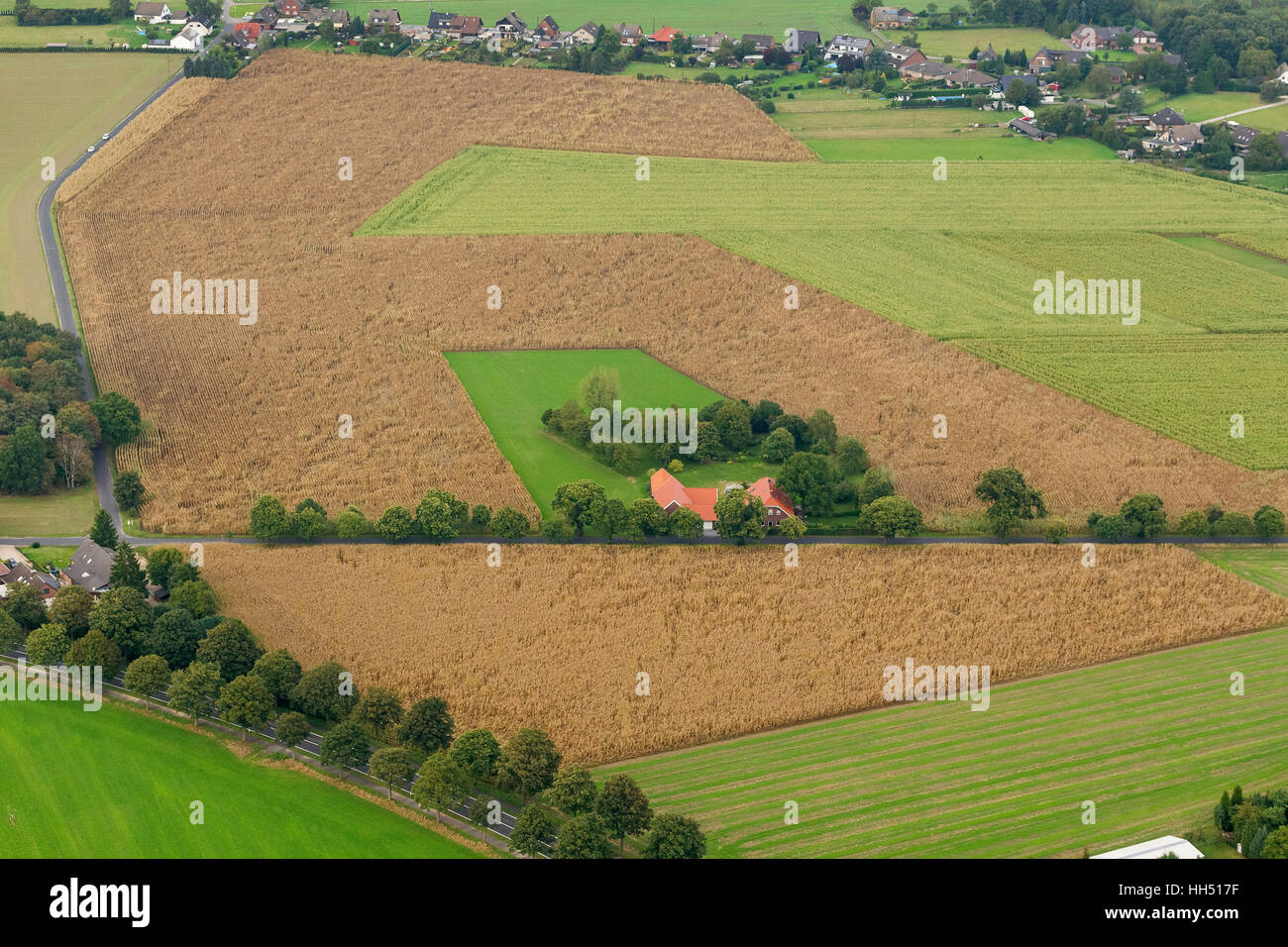 Auf dem Bauernhof Bönninghardter Straße, Maisfeld, Landwirtschaft, alpine, niedrigere Rhein Region, Deutschland, Europa, Vogel-Augen-Blick, Luftbild, Stockfoto