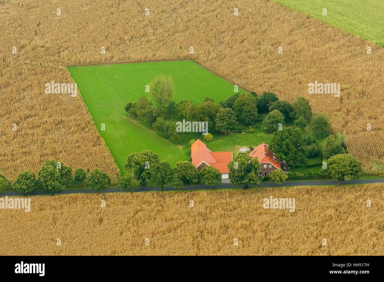 Auf dem Bauernhof Bönninghardter Straße, Maisfeld, Landwirtschaft, alpine, niedrigere Rhein Region, Deutschland, Europa, Vogel-Augen-Blick, Luftbild, Stockfoto