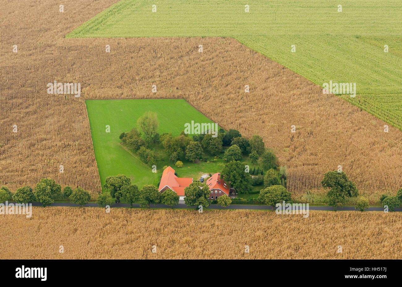 Auf dem Bauernhof Bönninghardter Straße, Maisfeld, Landwirtschaft, alpine, niedrigere Rhein Region, Deutschland, Europa, Vogel-Augen-Blick, Luftbild, Stockfoto