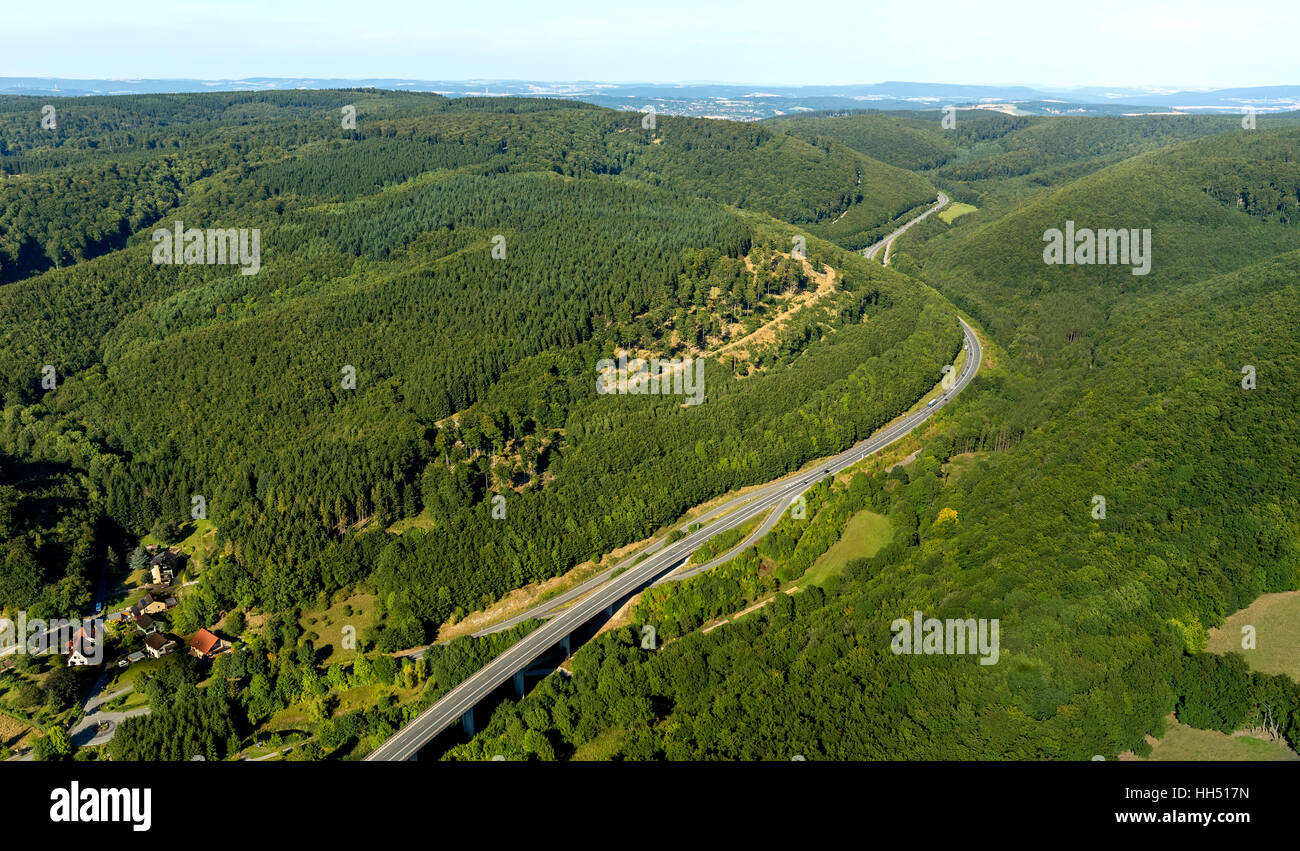 Schlänger Bach als Zufluss zum Fluss Lippe, Gemeinde Schlangen, Varusschlacht im Teutoburger Wald / Egge Hills Nature Park, Stockfoto